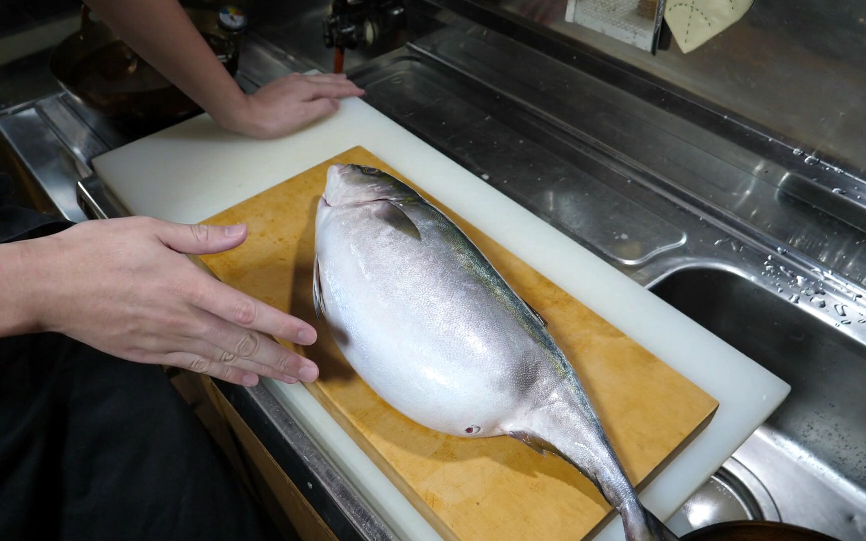 离奇胀大的鰤鱼的肚子里潜藏着不为人知的秘密!【200920】