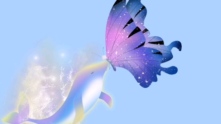 蝴蝶陷于夏日,鲸鱼殉于深海