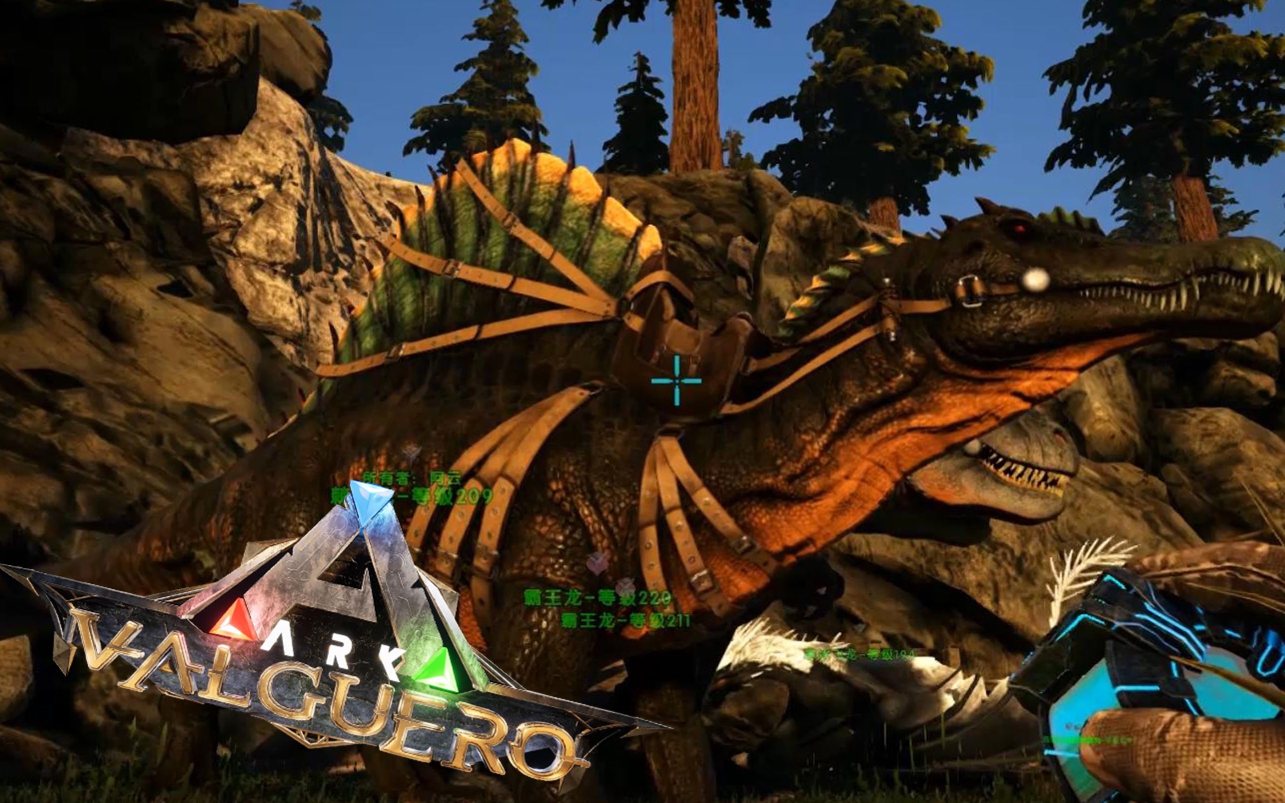 【小云】方舟 瓦尔盖罗 19丨有机聚合物