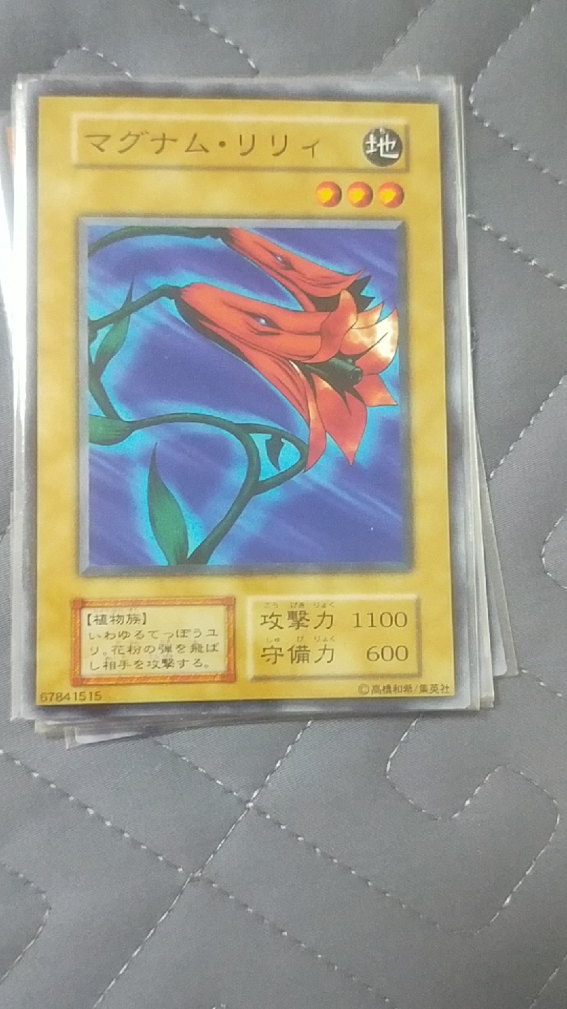 游戏王大图卡29