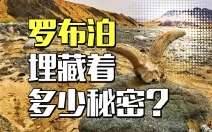 Télécharger la video: 号称“死亡之海”的罗布泊究竟有多恐怖？