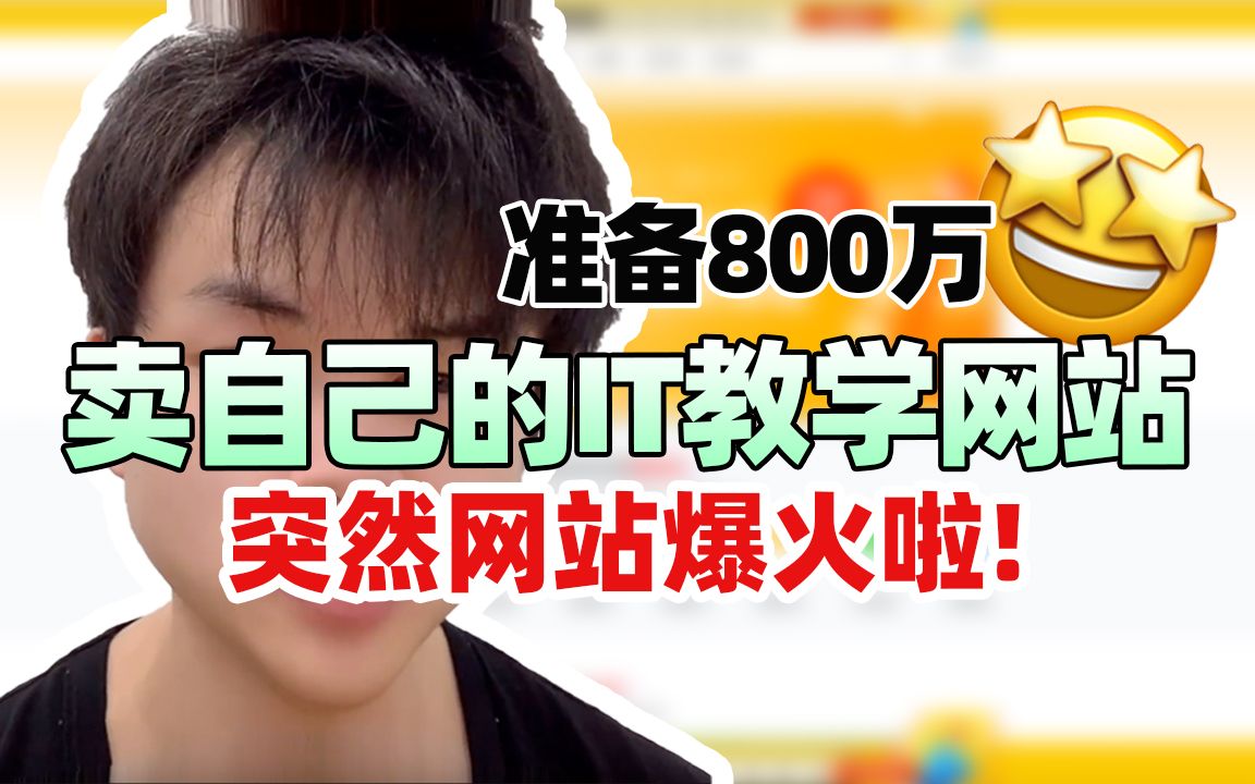 准备800万卖自己的IT教学网站,突然网站爆火啦!哔哩哔哩bilibili