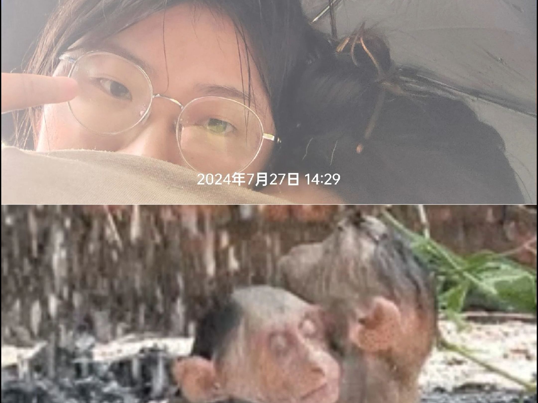 毕业旅行第四站:连云港~暴雨倾盆,膏药猴子勇退云台山哔哩哔哩bilibili