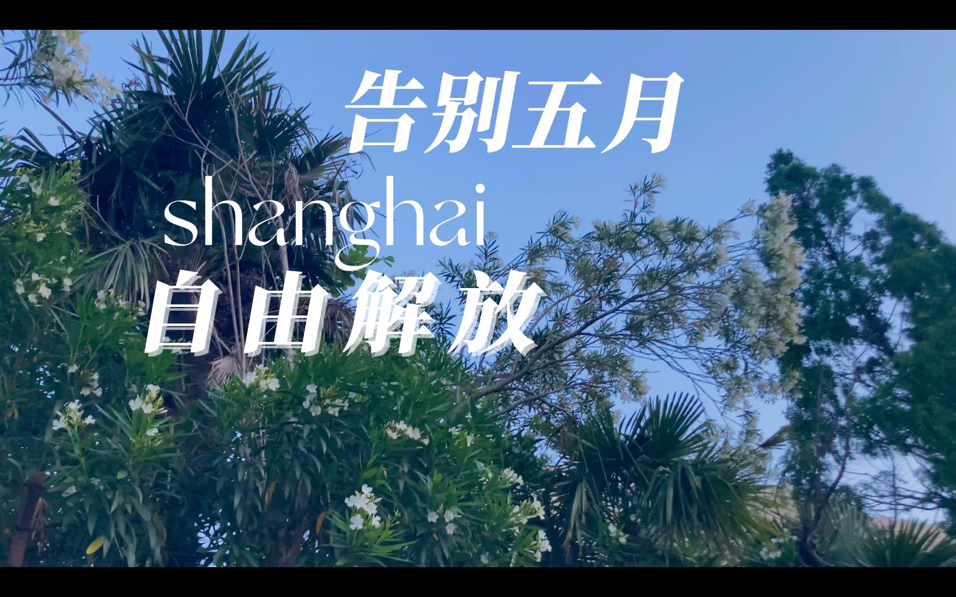 上海解封前后日常|告别五月|自由解放(内含一群小猪崽)