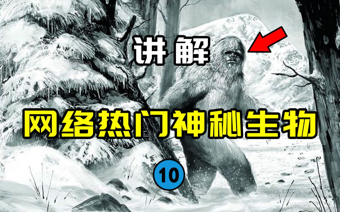 【网络热门神秘生物10】漫步于喜马拉雅山的神秘生物!?传说中的雪人究竟是什么?哔哩哔哩bilibili