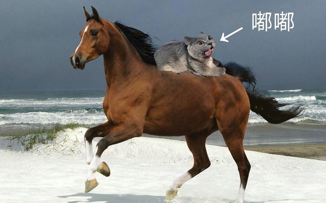 【三种版本】马马嘟嘟嘟嘟骑