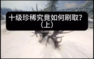 Download Video: 全网最细致的十级珍稀刷取教程