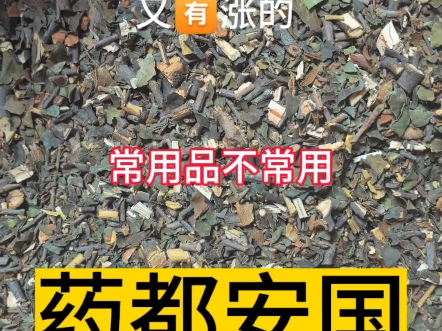 【龙龙采药记】最新视频来袭,快来看看吧!哔哩哔哩bilibili