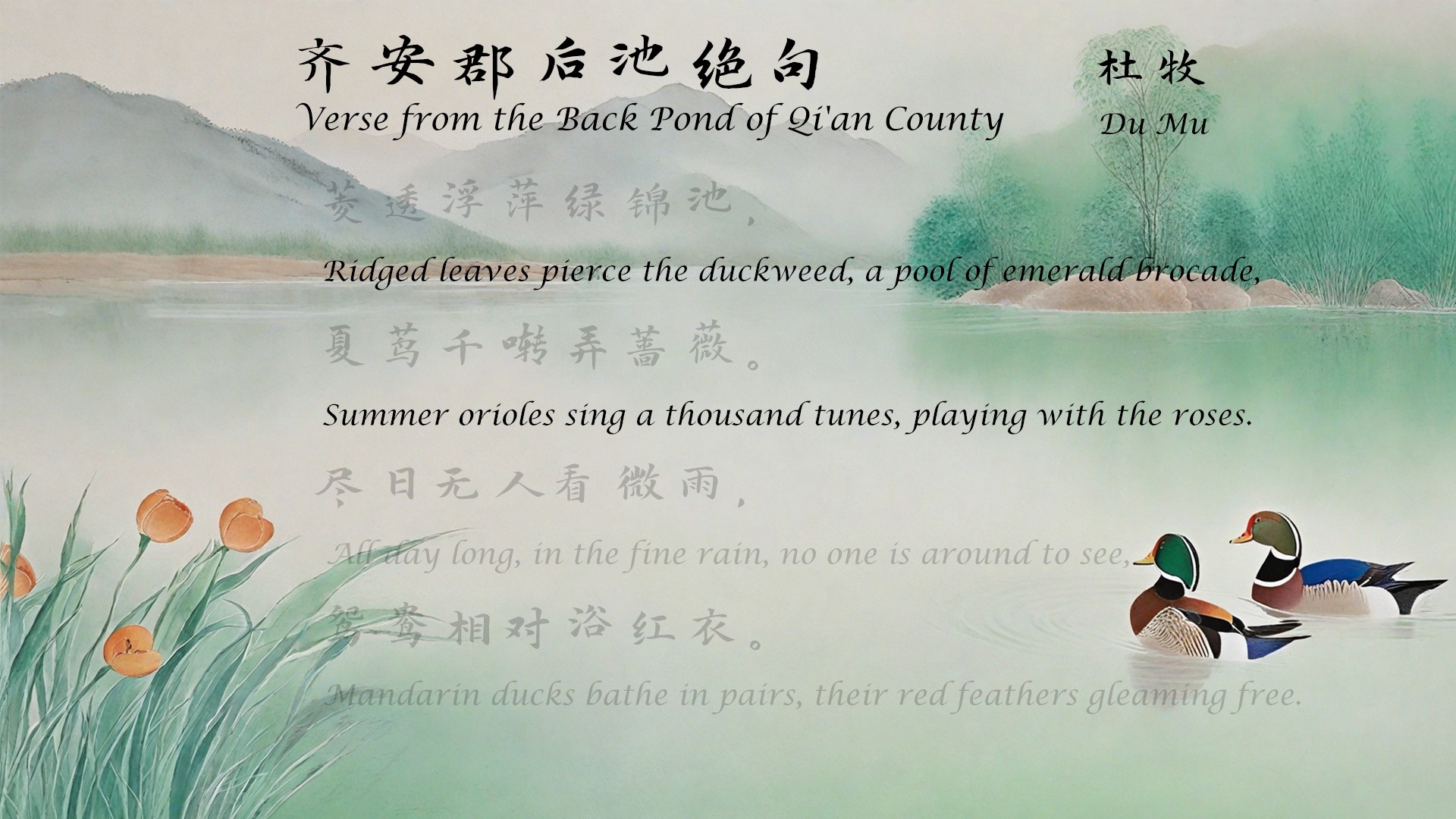 杜牧《齐安郡后池绝句》唐诗三百首 中国古诗词欣赏 中英文朗读版