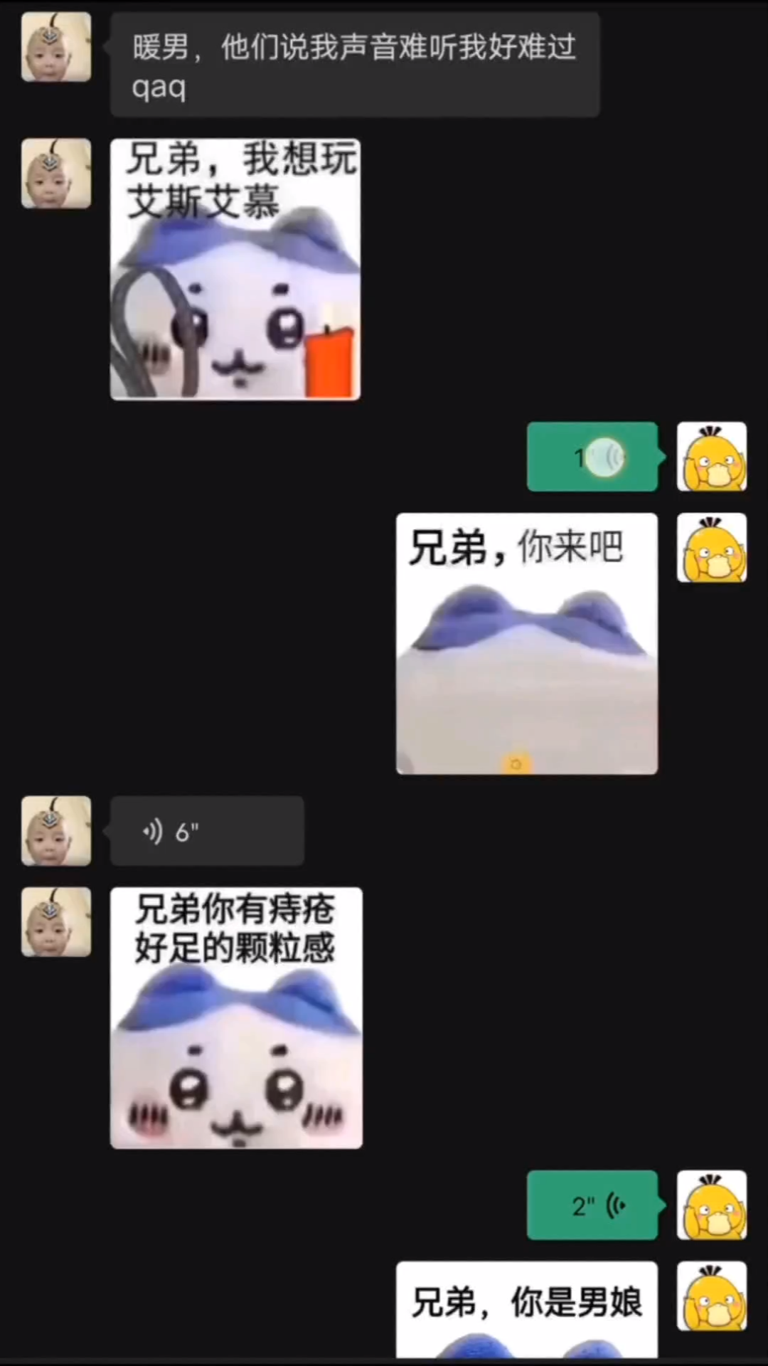 风韵犹存的双面龟哔哩哔哩bilibili