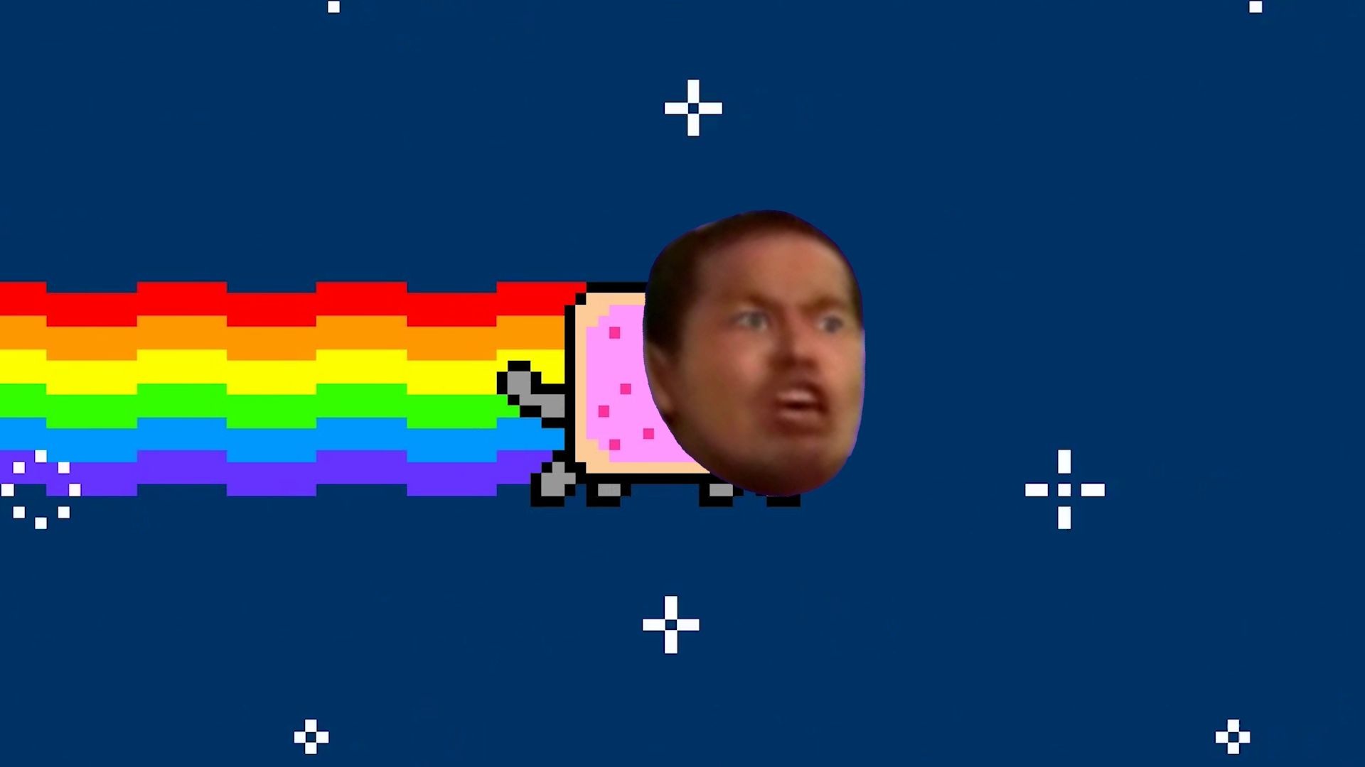 【目力先辈】恶臭猫