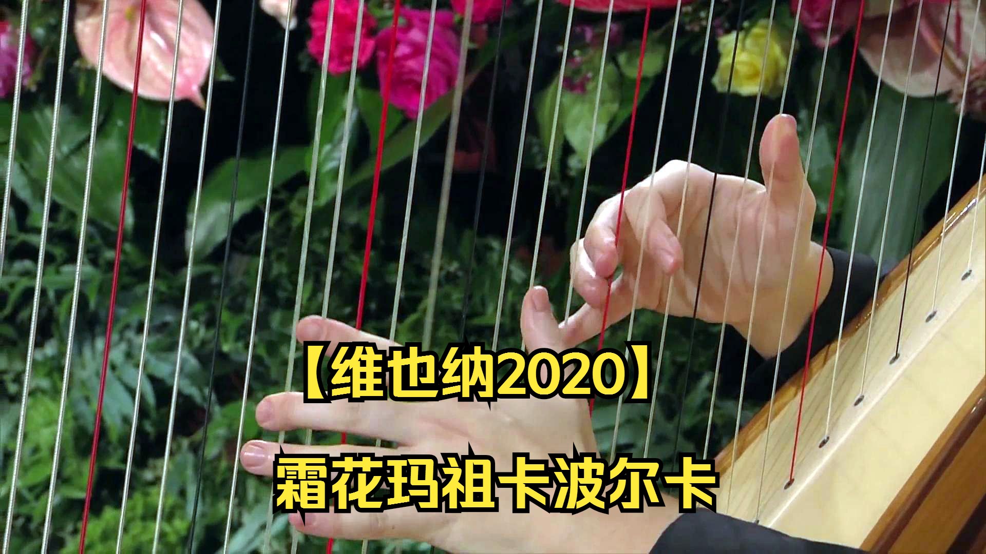 [图]【维也纳2020】霜花玛祖卡波尔卡