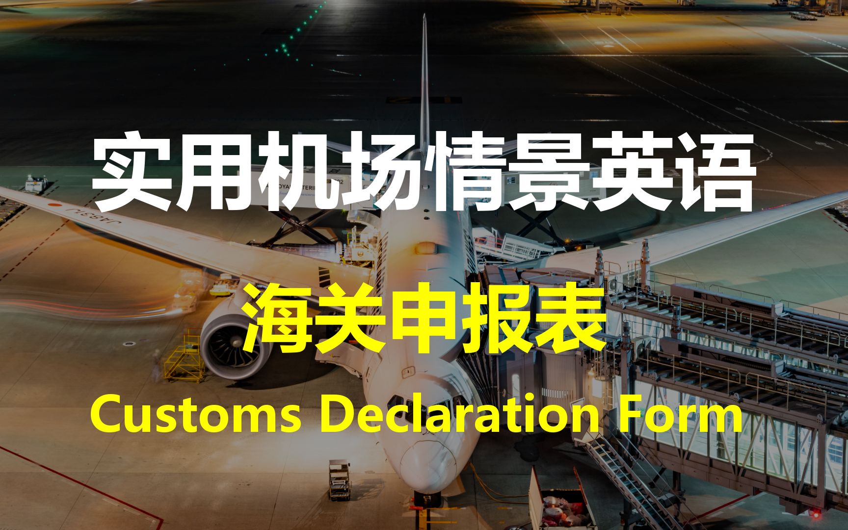 实用高频机场海关情景英语对话:海关申报表(中英双语)| Useful Airport Customs English Dialogues哔哩哔哩bilibili