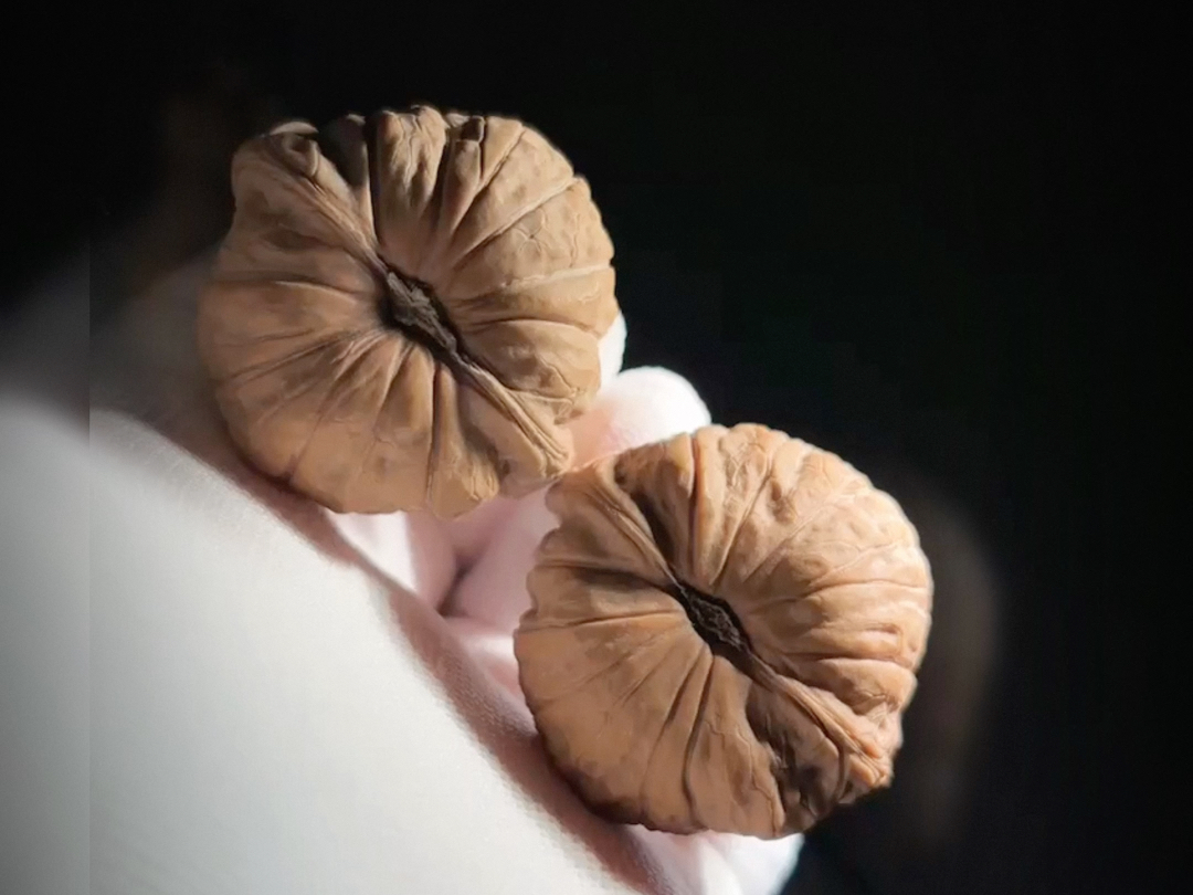 网红底·南瓜礅·全品·边43肚42高32·#核桃届天花板 #高品质文玩