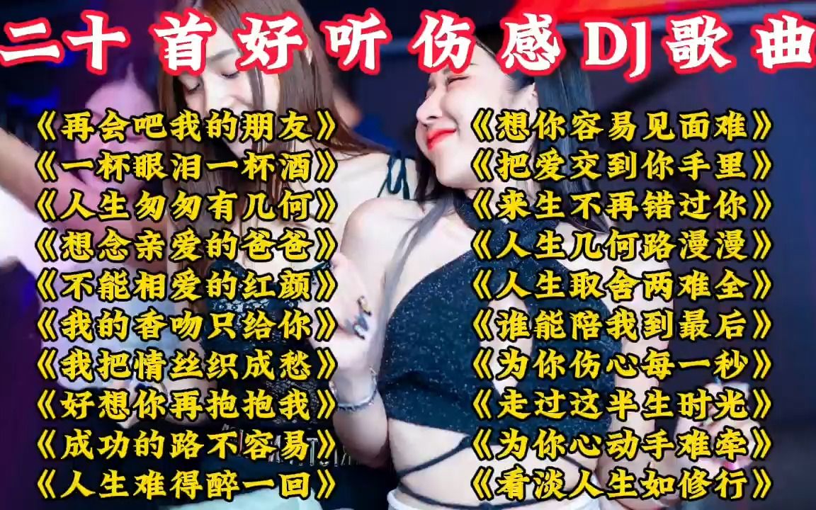 [图]二十首车载DJ《再会吧我的朋友/一杯眼泪一杯酒/人生匆匆有几何》