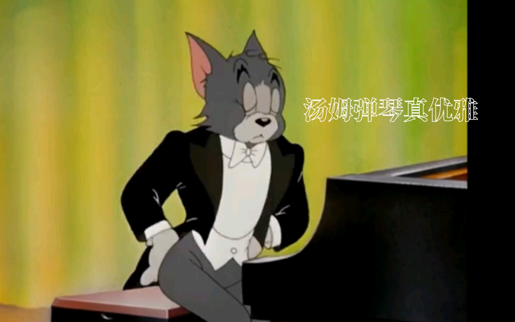 汤姆弹琴优雅