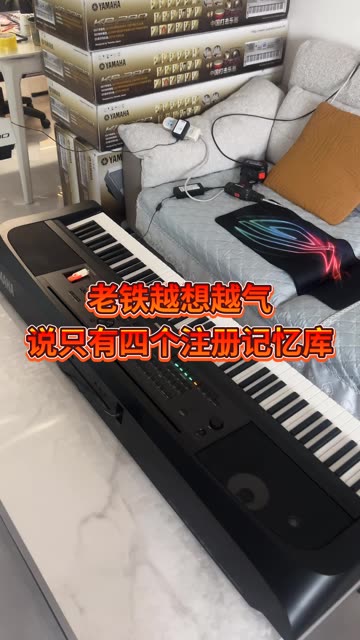 雅马哈dgx670 600pro