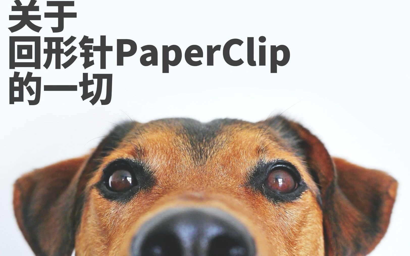 关于回形针paperclip的一切