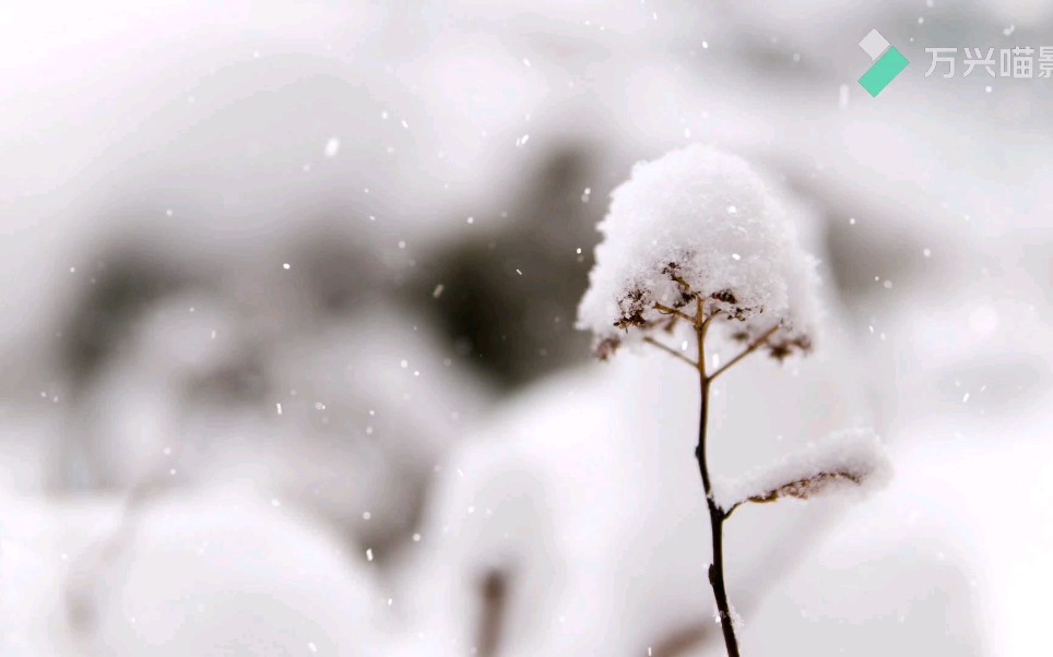 [图]冬季是一年四季中最安静的季节