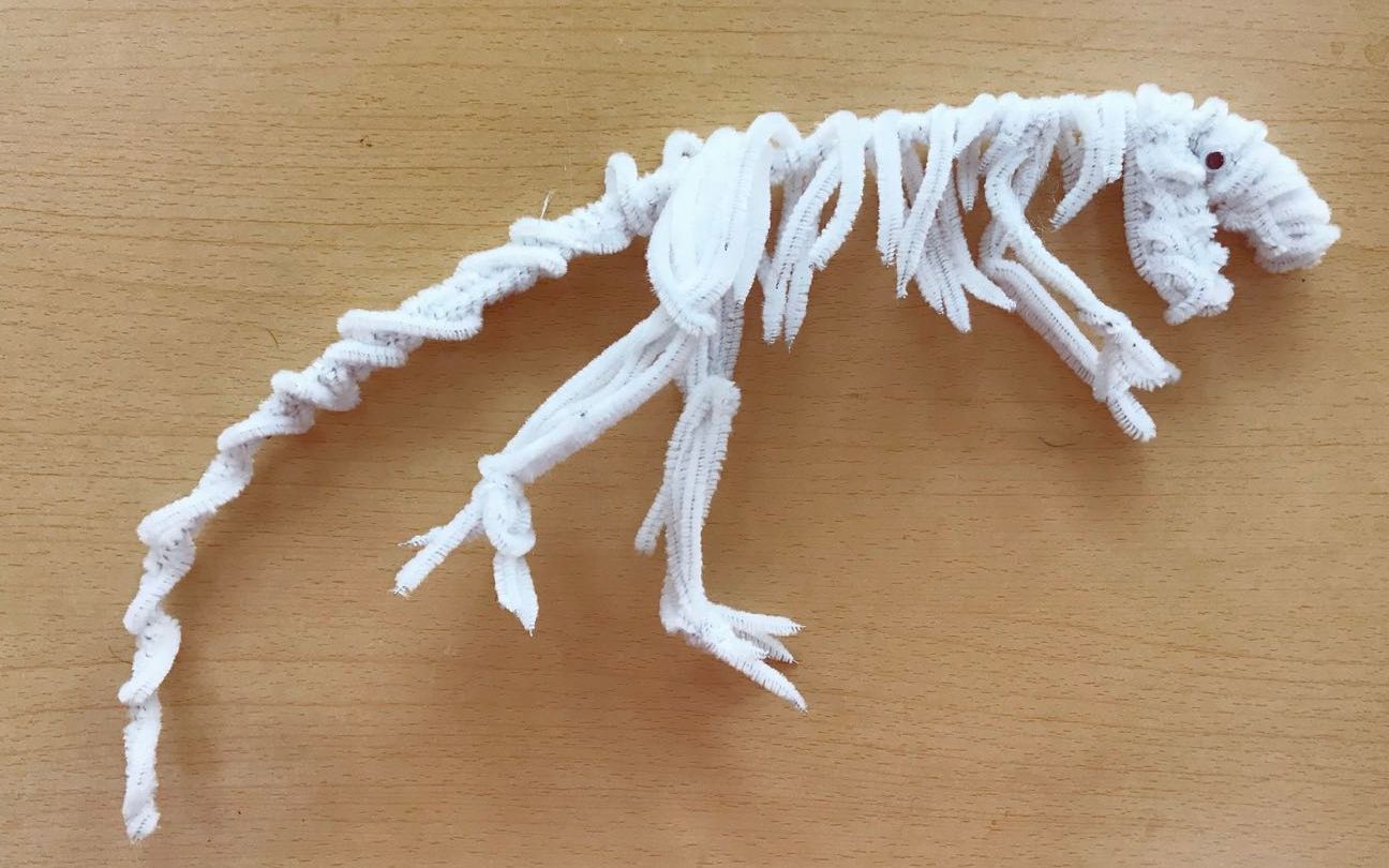 扭扭棒霸王龙化石骨架教学视频简易版