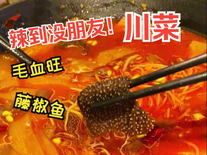 四川人推荐的川菜馆 鸡毛店!!哔哩哔哩bilibili