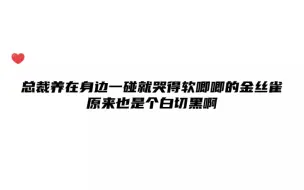 下载视频: 总裁养在身边哭得软唧唧的金丝雀，原来也有这么A的一面