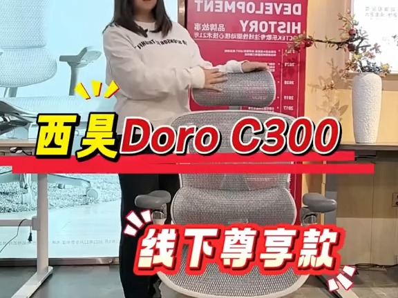 人体工学椅推荐 电脑椅子推荐 西昊doroc300 西昊c300 办公椅 Doro C300线下尊享款哔哩哔哩bilibili