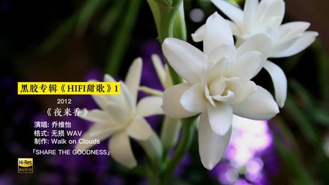 黑胶hifi甜歌专辑1 乔维怡 刘芳 周虹 黑鸭子 林子路 童丽 龚玥