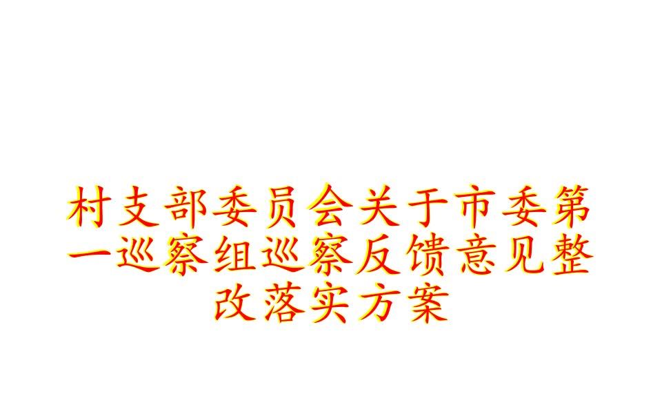 村支部委员会关于市委第一巡察组巡察反馈意见整改落实方案哔哩哔哩bilibili