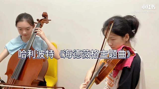 哈利波特《海德薇格主题曲》昨天音阶的背景音乐来了哔哩哔哩bilibili