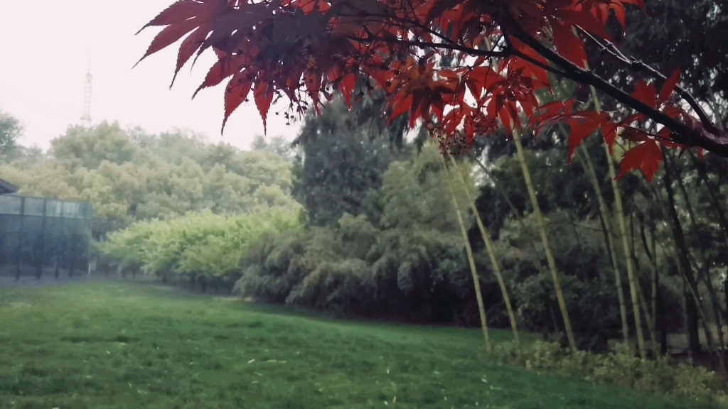 [图]暮烟疏雨－校史馆一隅