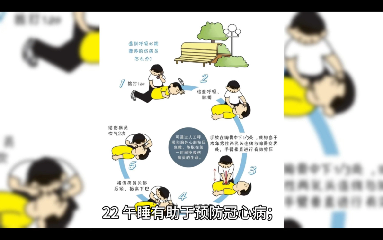 养生哔哩哔哩bilibili