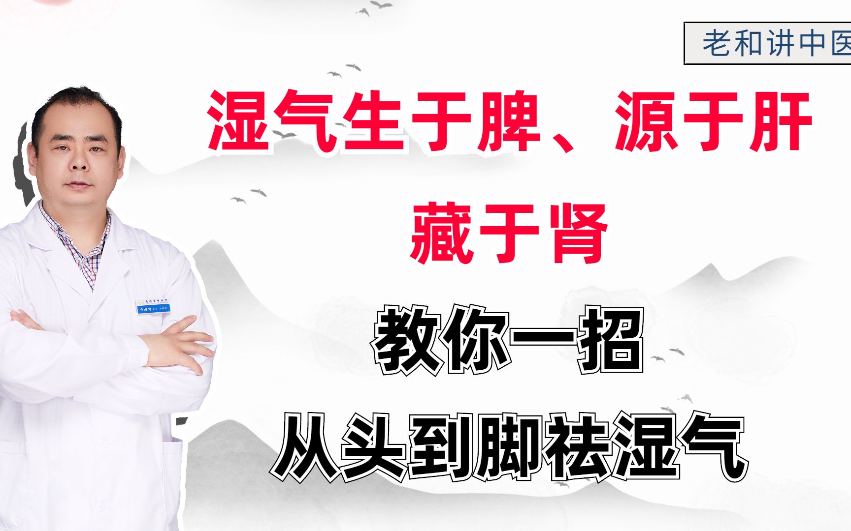 湿气生于脾、源于肝、藏于肾,教你一招,从头到脚祛湿气哔哩哔哩bilibili