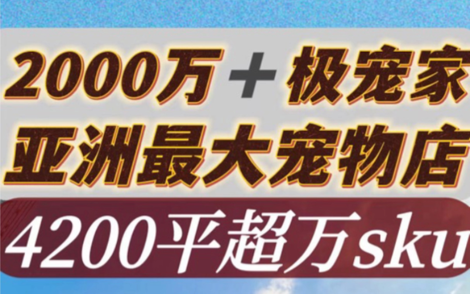 2000万极宠家 亚洲最大宠物店哔哩哔哩bilibili