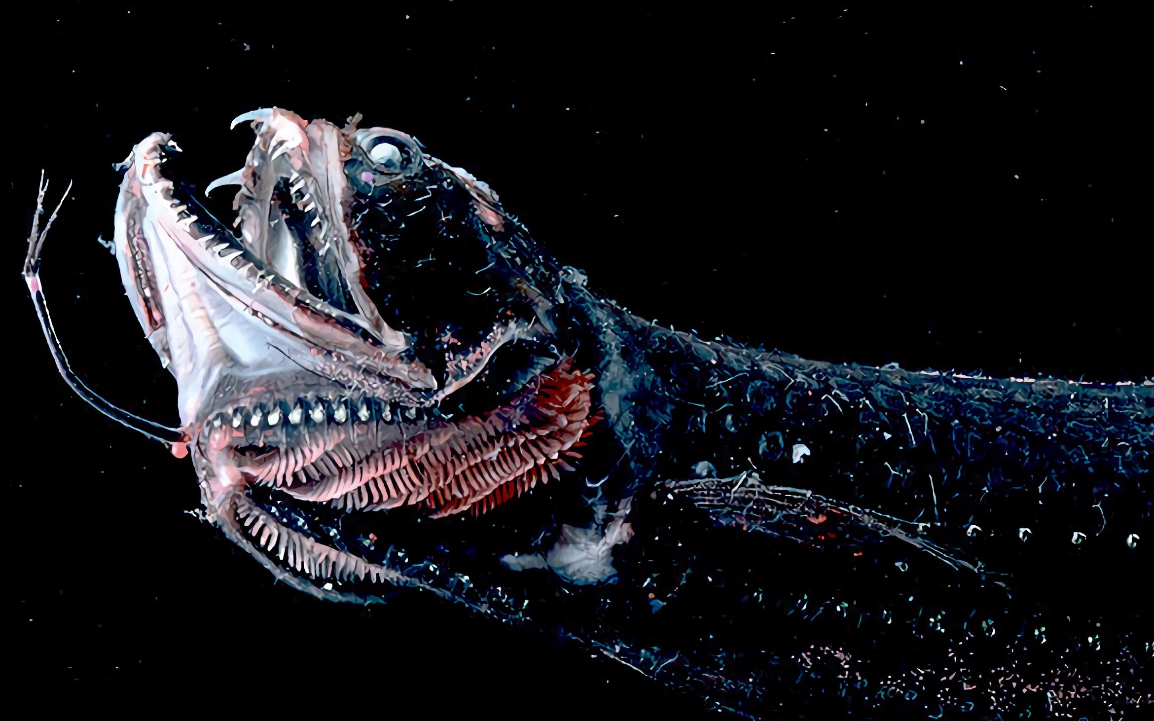 深海没人看,随便长长的15种怪物