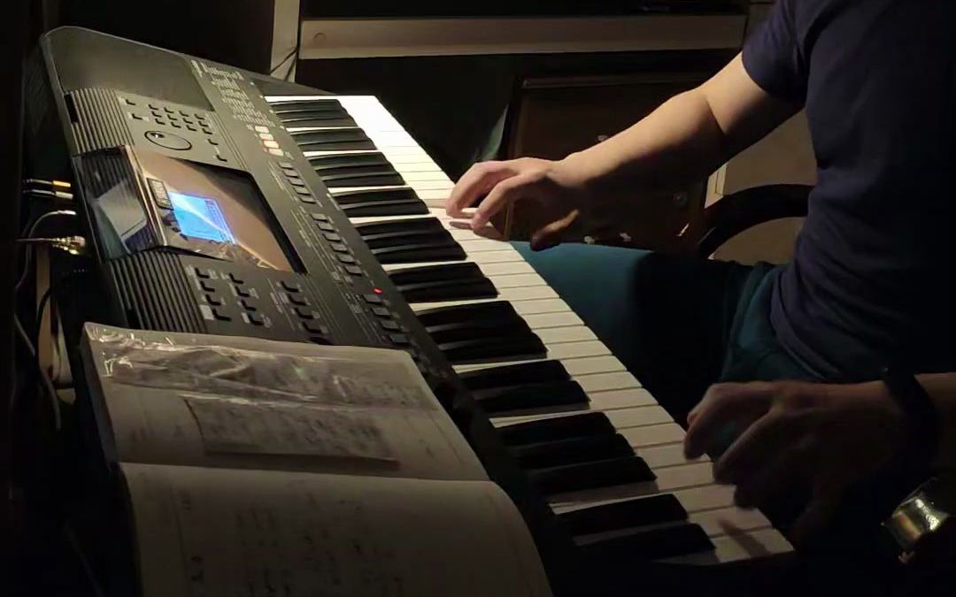 [图]《花海》 电子琴 实时演奏 YAMAHA PSR E463