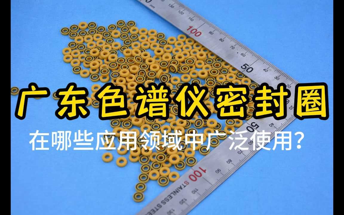 广东色谱仪密封圈在哪些应用领域中广泛使用?哔哩哔哩bilibili