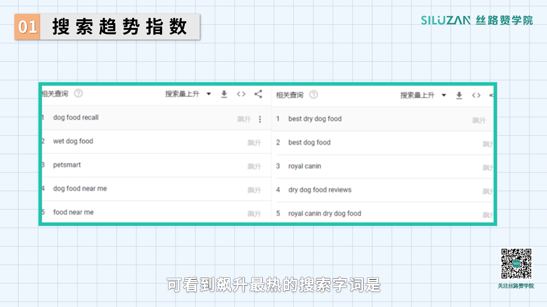 宠物用品行业DTC独立站出海品牌故事哔哩哔哩bilibili