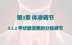 Descargar video: 【选必一同步课】3.2.2-甲状腺激素的分级调节