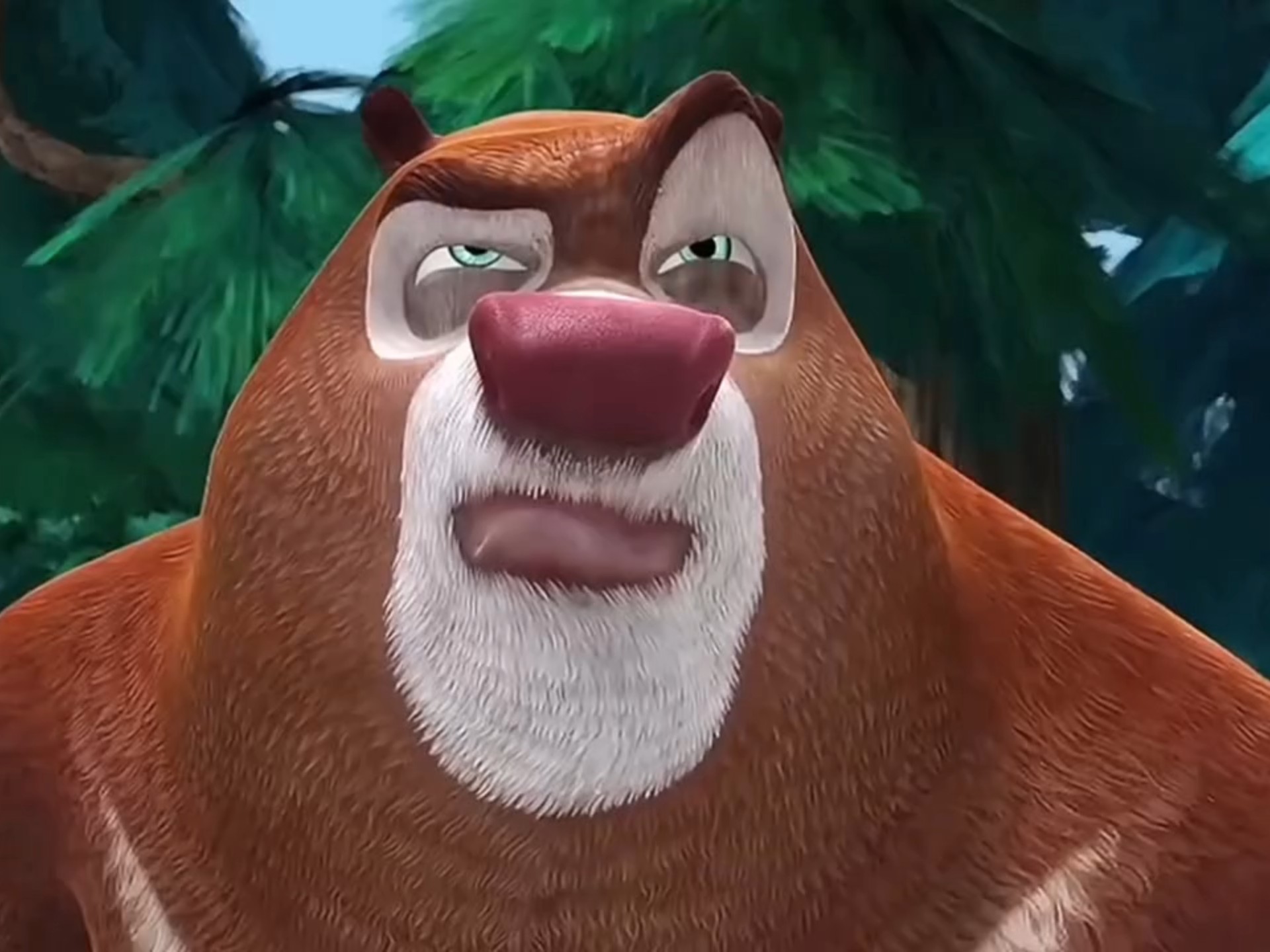 "熊出没中熊大的蛋碎瞬间