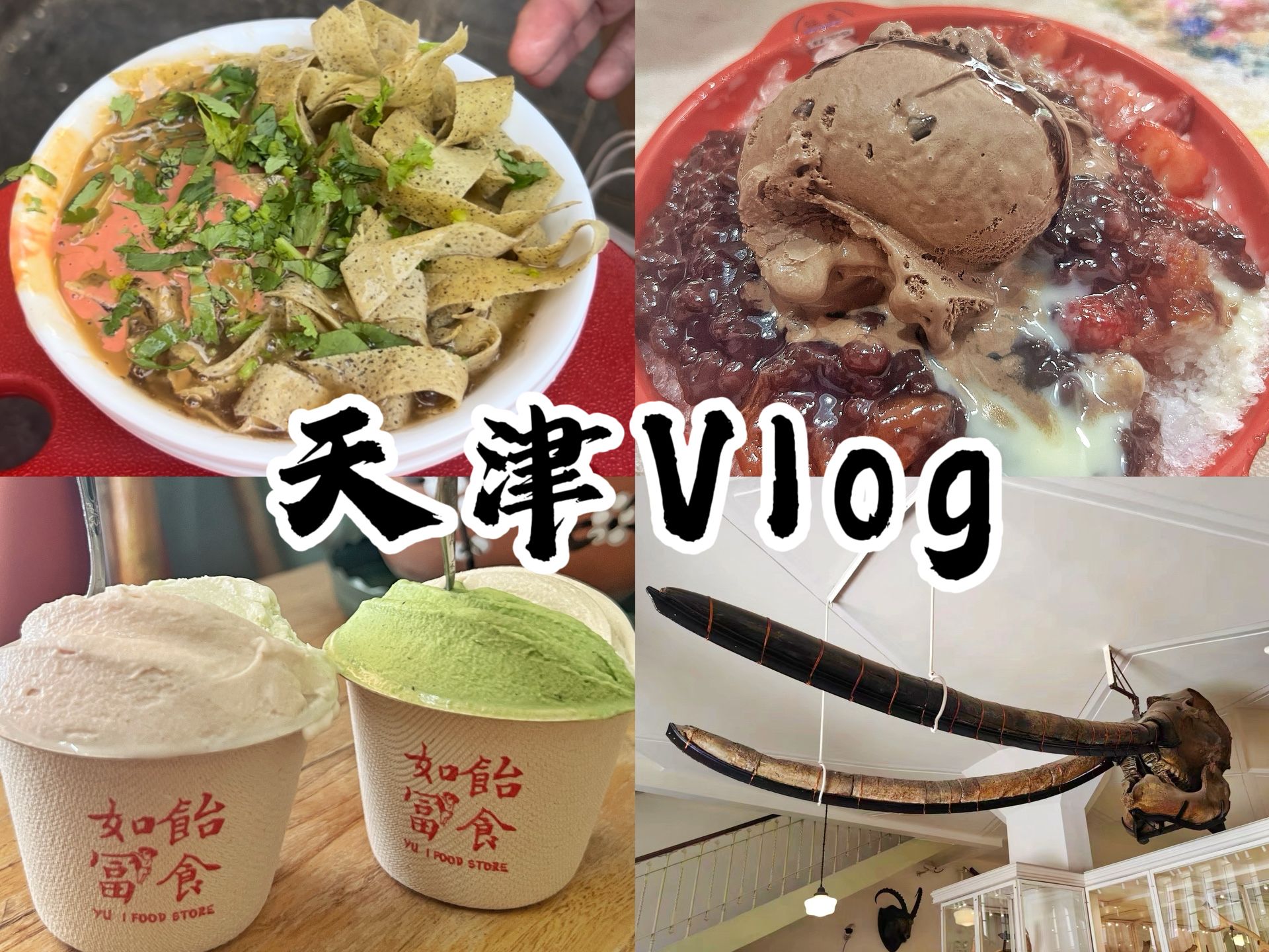 旅行吃吃喝喝流水账之天津Vlog哔哩哔哩bilibili