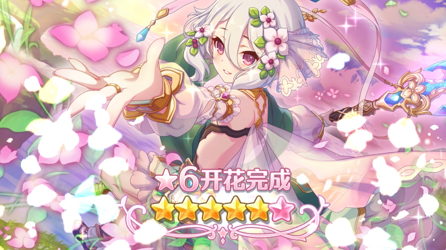 六星可可萝开花实录()