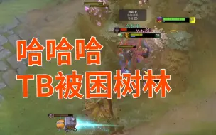 Télécharger la video: 哈哈哈TB被困树林