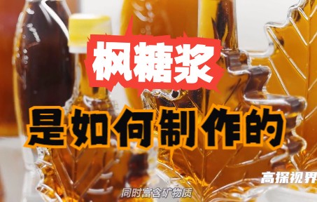 [图]香甜如蜜的枫糖浆是如何制作的-每天带你了解不一样的东西