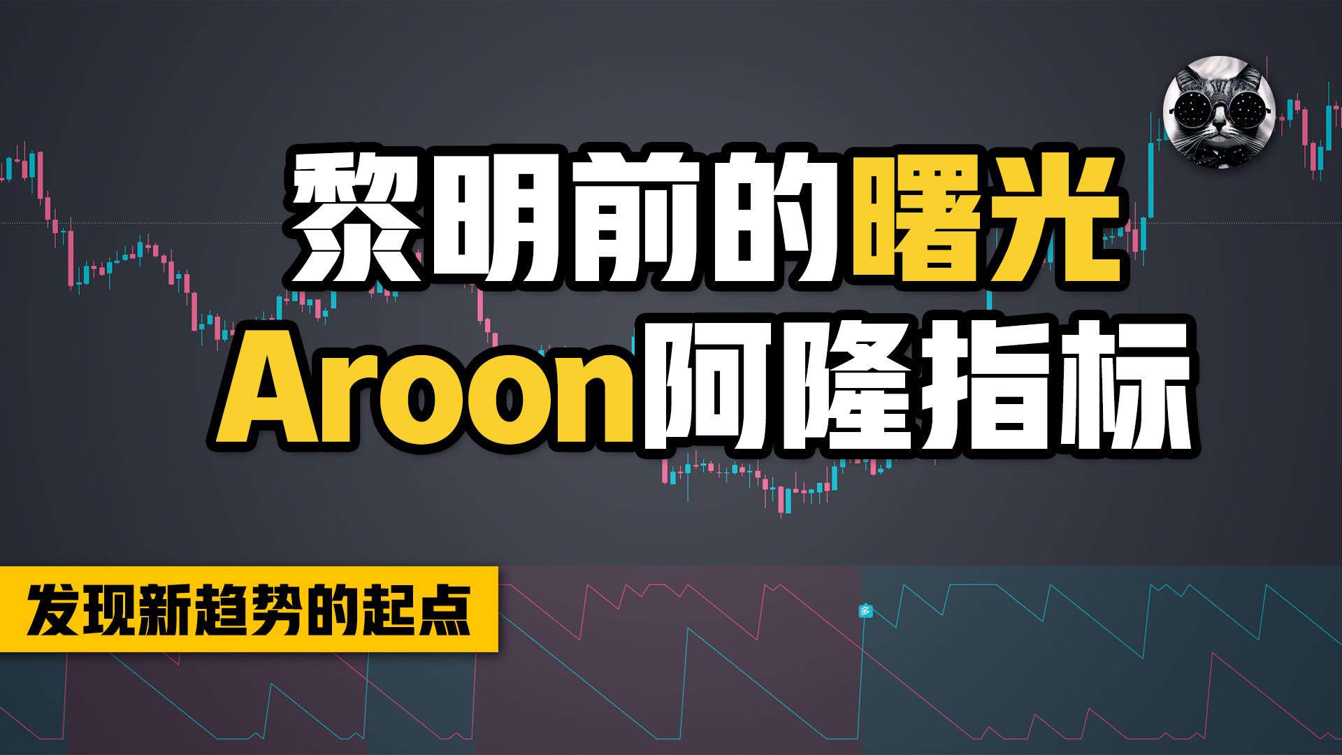 黎明前的曙光,用Aroon阿隆指标来发现趋势的起点,窥探市场趋势和反转哔哩哔哩bilibili