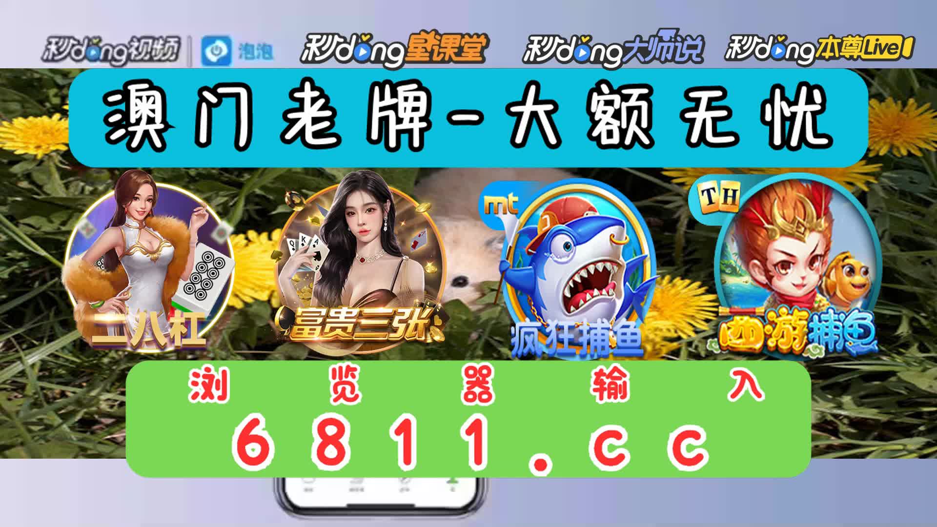 5分鐘了解五张牌梭哈的具体玩法