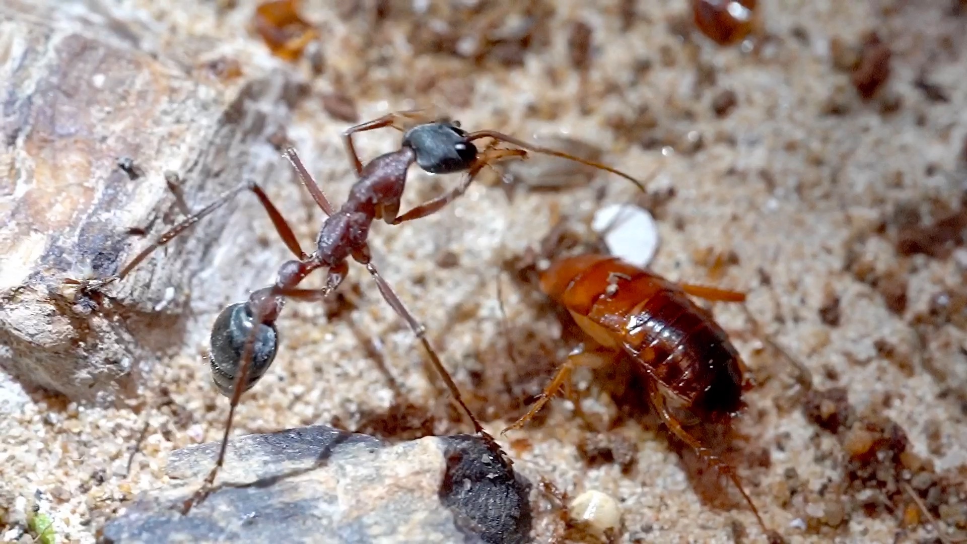 当你以为还没开始的时候,就已经结束了