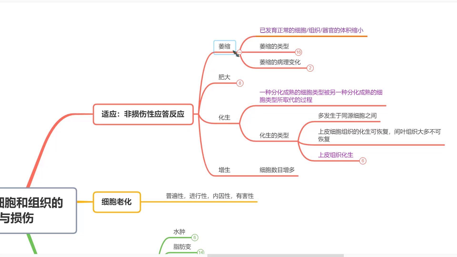 [图]《病理学》3小时学完预习复习期末考试速成不挂科