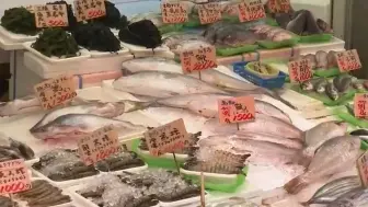 Descargar video: 香港、澳门宣布：8月24日起，禁止日本10个都县区食品进口