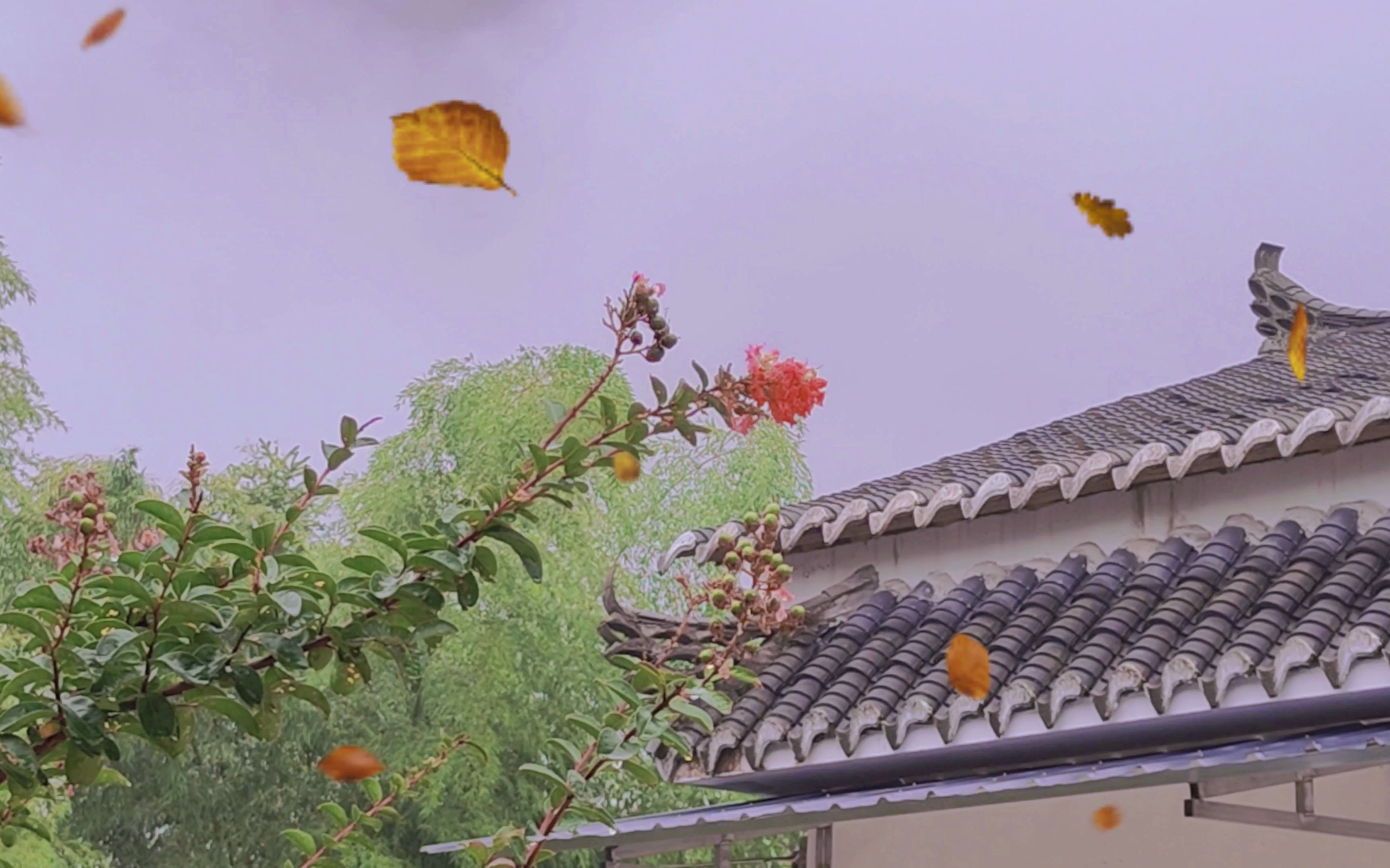 这乡村风景治好了我的精神内耗